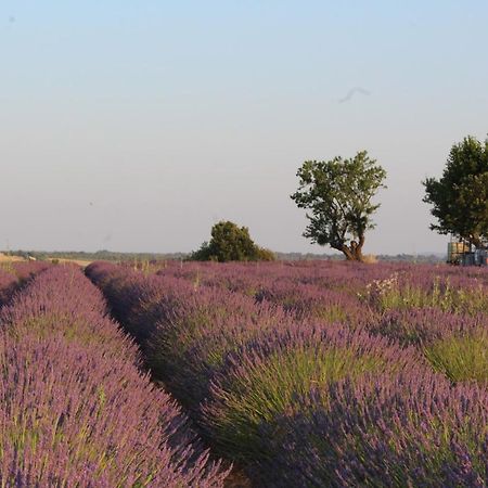 Le Mas Du Colombier Cadenet Kültér fotó