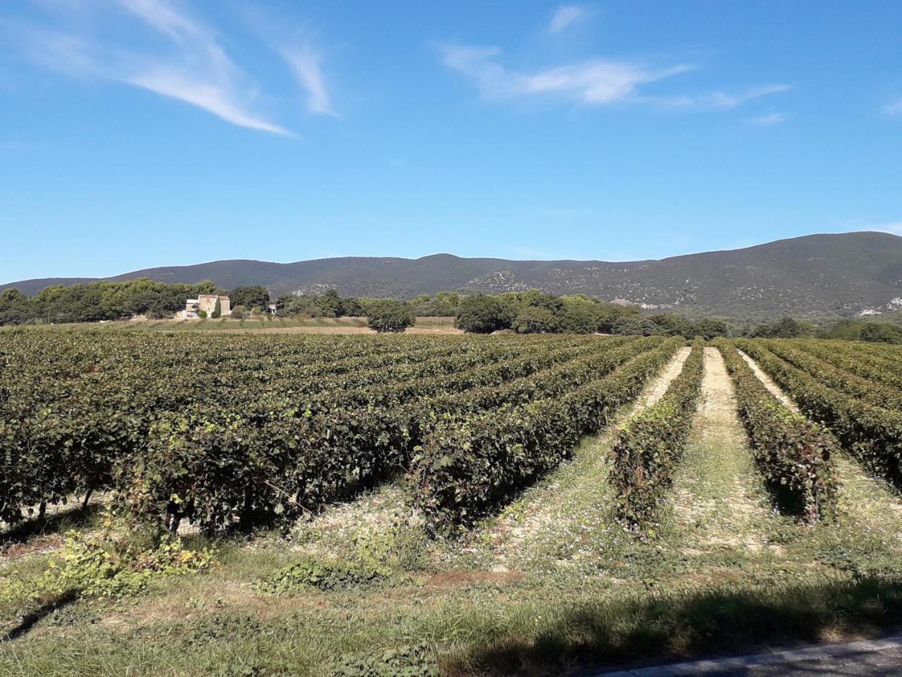 Le Mas Du Colombier Cadenet Kültér fotó