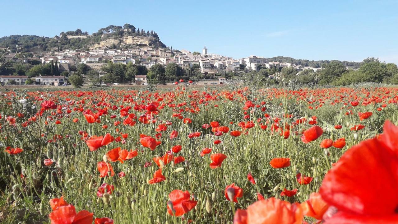 Le Mas Du Colombier Cadenet Kültér fotó