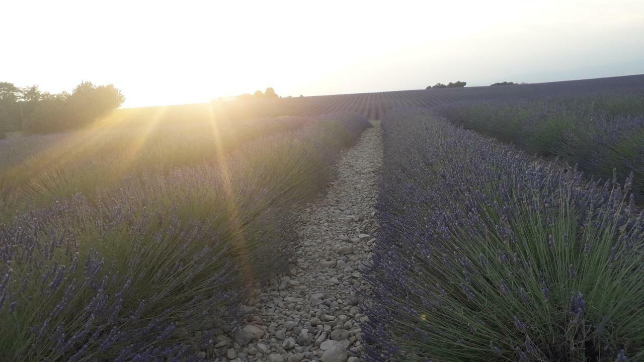 Le Mas Du Colombier Cadenet Kültér fotó